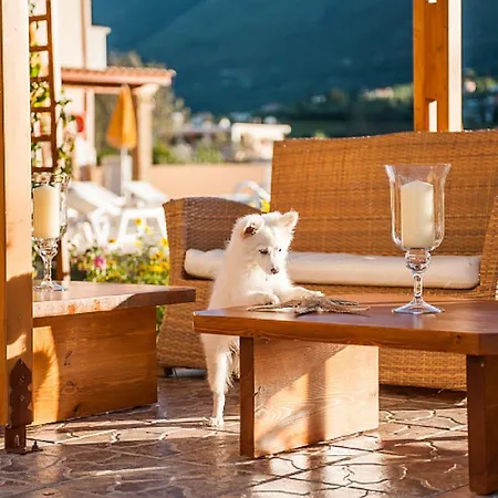 Clio 3* Аликес